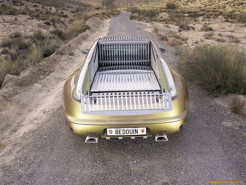 , rinspeed